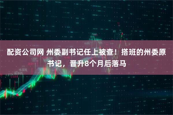 配资公司网 州委副书记任上被查!搭班的州委原书记,晋升8个月后落马
